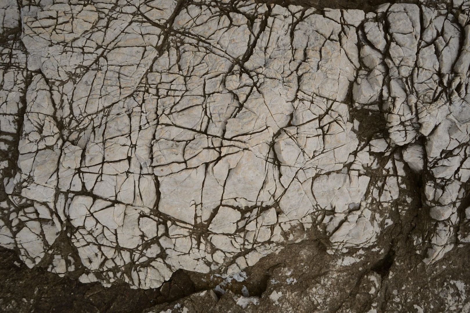 Gros plan d’une roche calcaire claire parcourue de veines sombres